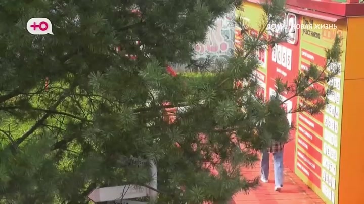 дом 2 смотреть онлайн - день 8057 - эфир 19.09.2026 - Любовь в сити