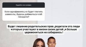 Юлия Ефременкова: Будет лишение родительских прав