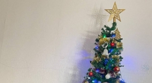 Иосиф Оганесян: Стефан уже 36 кг весит