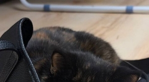 Алёна Опенченко: До меня доходит, что я сделала