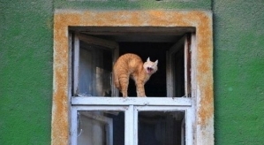 Мнение о последних проектных событиях (31.12.2025)