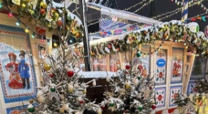 Ольга Рапунцель: Поздравляю с Новым 2026 годом!