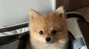 Евгения Хорошева: Серёжа его очень избаловал