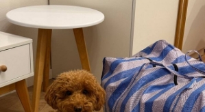 Катя Квашникова: Дальше так не может продолжаться